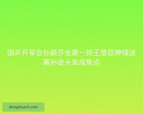 国乒开早会孙颖莎坐第一排王楚钦神情迷离孙逊头发成焦点